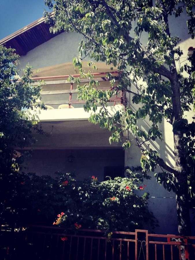Villa Letina Sukošan Exterior foto