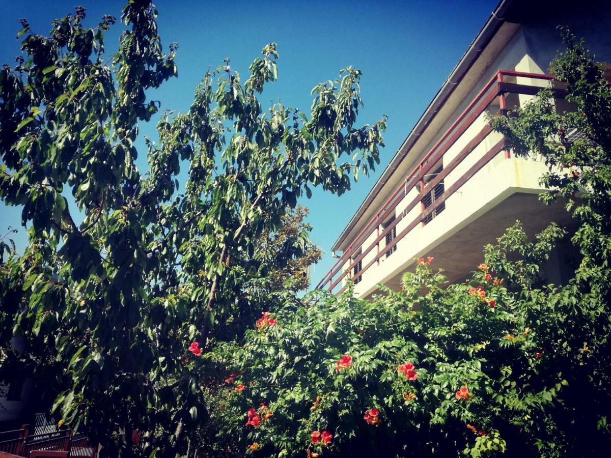 Villa Letina Sukošan Exterior foto